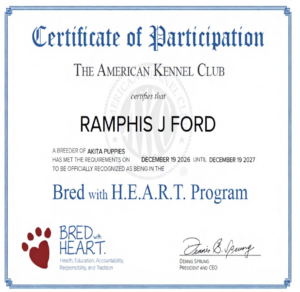 AKC Bred with H.E.A.R.T. certificate awarded to Ramphis J Ford, professional Akita breeders in the USA.